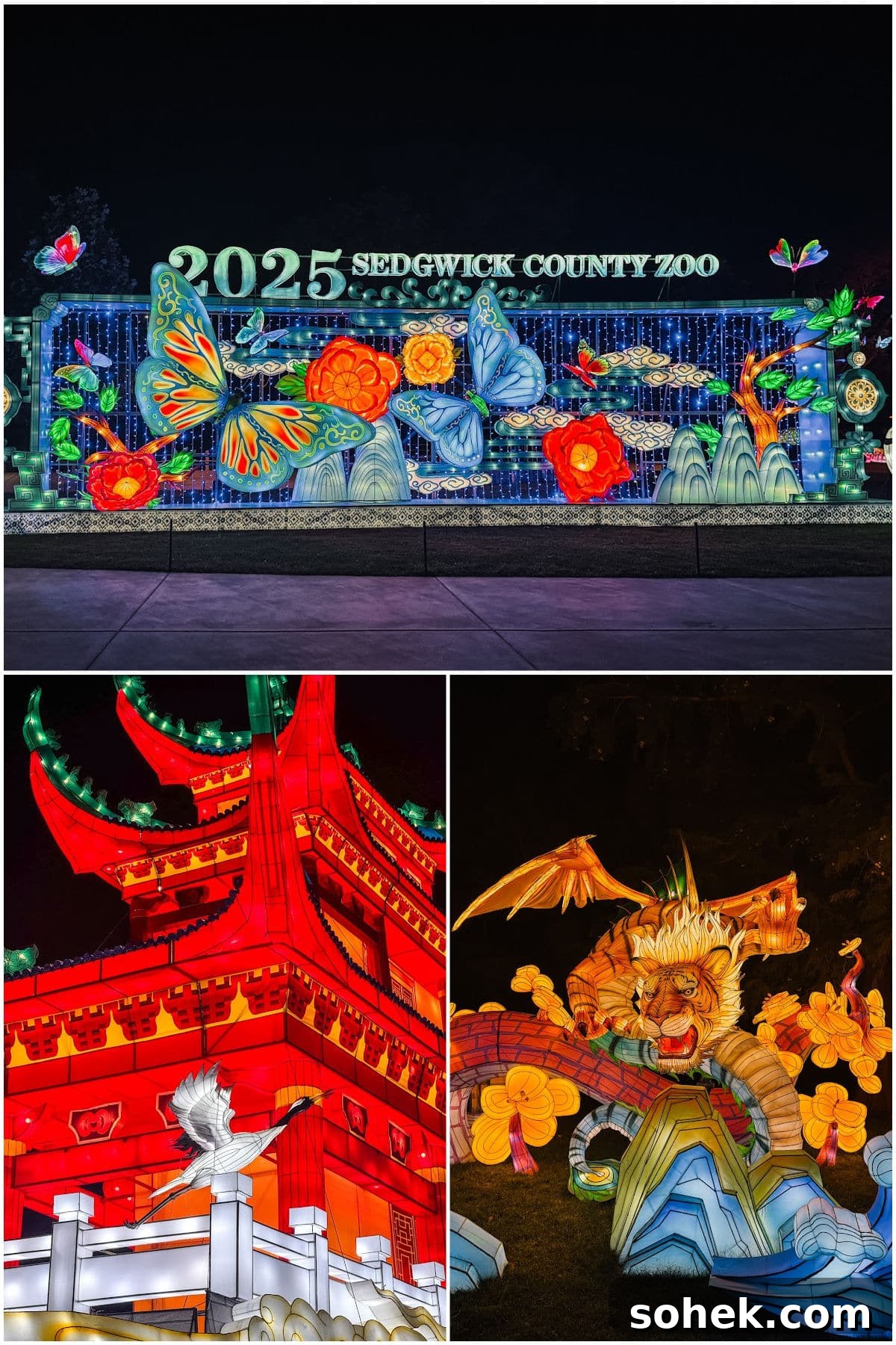 Discover Wichita, Kansas: Must-See Sights and Local Gems 6 Colorful illuminated lantern sculptures of animals, flowers, a dragon, and a pagoda at the Sedgwick County Zoo's 2025 festival display, photographed at night.