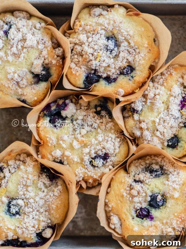 Baking tray filled with bakery style lemon blueberry muffins garnished with slices of lemons and blueberries.