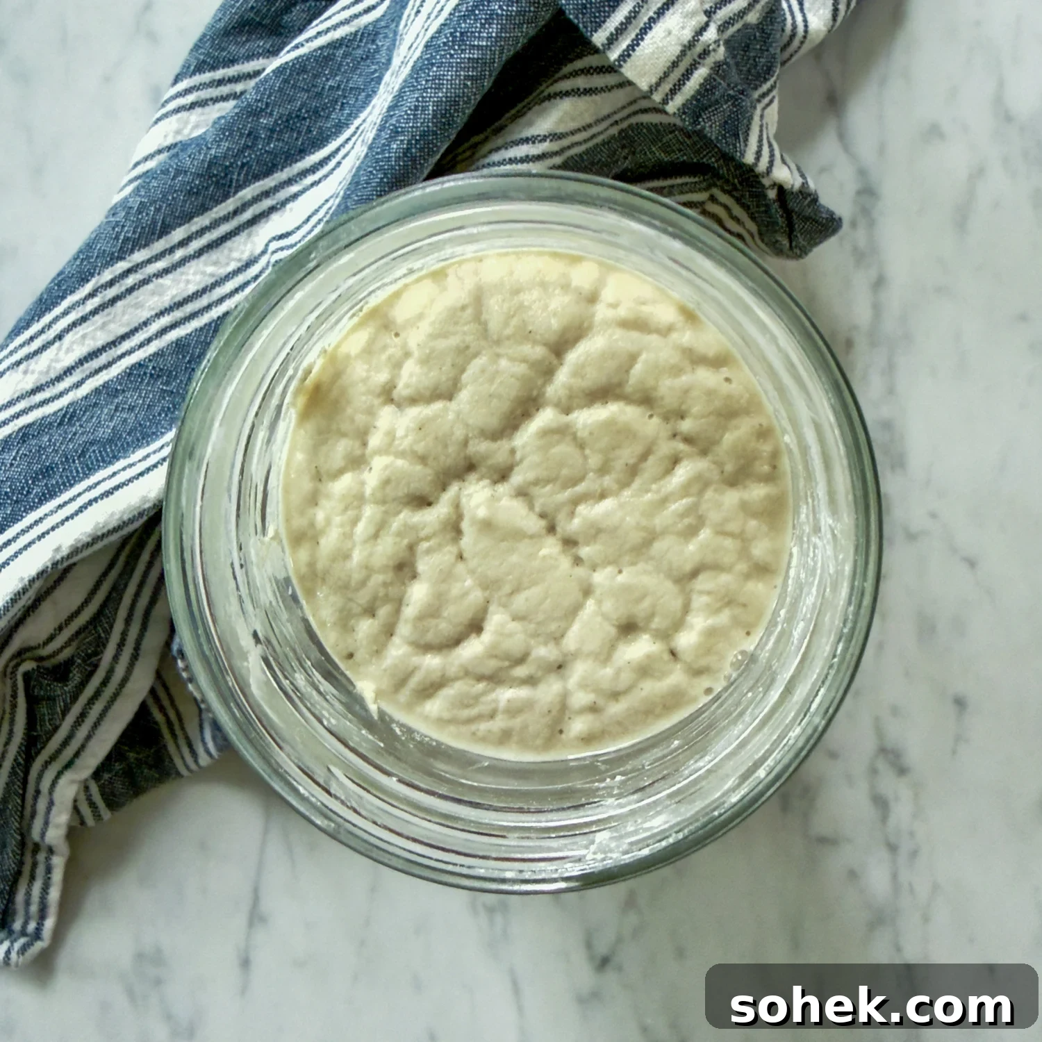 Gluten-Free Sourdough Starter: Reliable Step-by-Step Recipe 6 overhead shot showing what a bubbly, activated starter should look like.