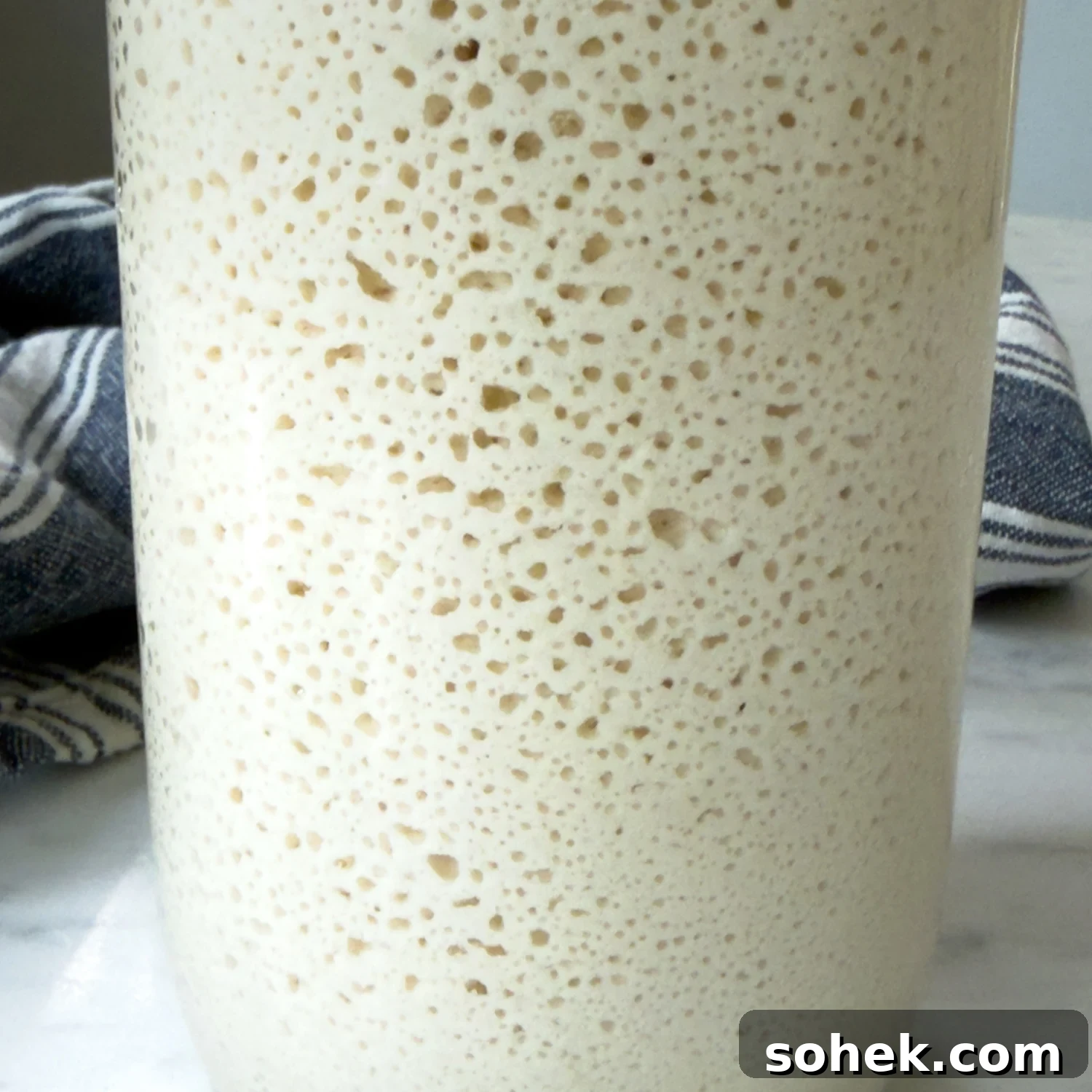 Gluten-Free Sourdough Starter: Reliable Step-by-Step Recipe 7 close up of the bubbles in the starter.