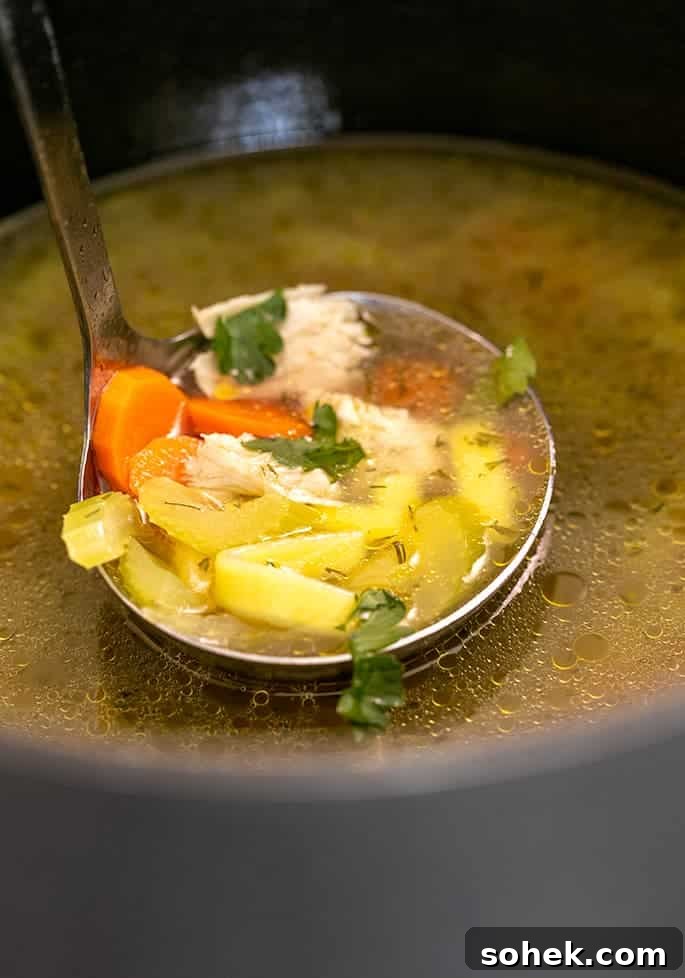 Rich Gluten-Free Chicken Stock Recipe for Flavorful Broths 4 Ladle with chicken noodle soup in pot