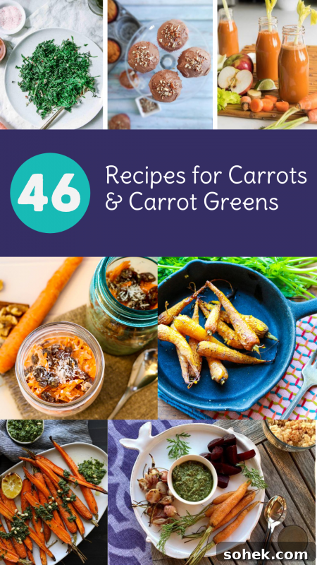 46 Carrot and Carrot Greens Recipes: Delicious Ways to Use Carrot Tops 13 46 Recipes for Carrot and Carrot Greens (AKA Carrot Tops) via Lizshealthytable.com