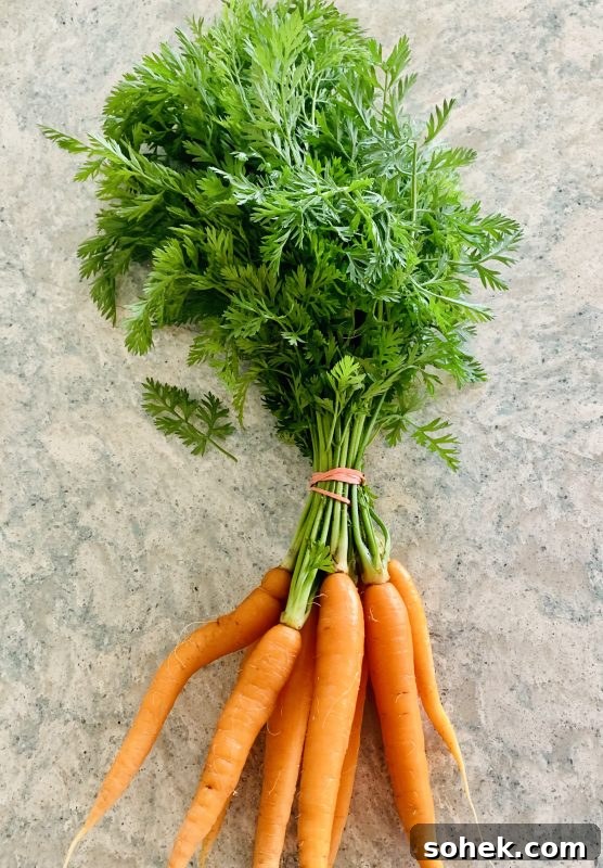 46 Carrot and Carrot Greens Recipes: Delicious Ways to Use Carrot Tops 3 46 Recipes for Carrot and Carrot Greens (AKA Carrot Tops) via Lizshealthytable.com