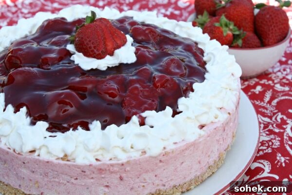 9 No-Bake Summer Desserts to Beat the Heat 2 img 6003 1