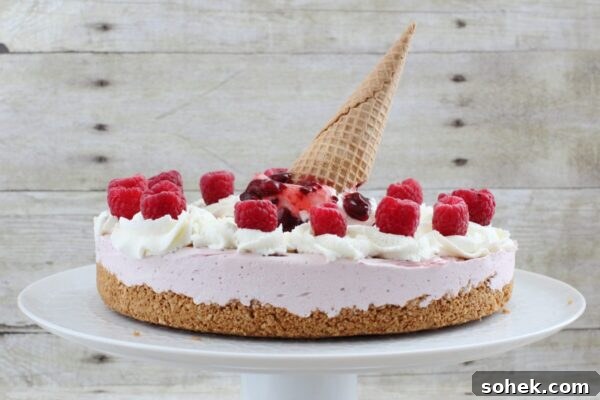 9 No-Bake Summer Desserts to Beat the Heat 8 img 6003 7