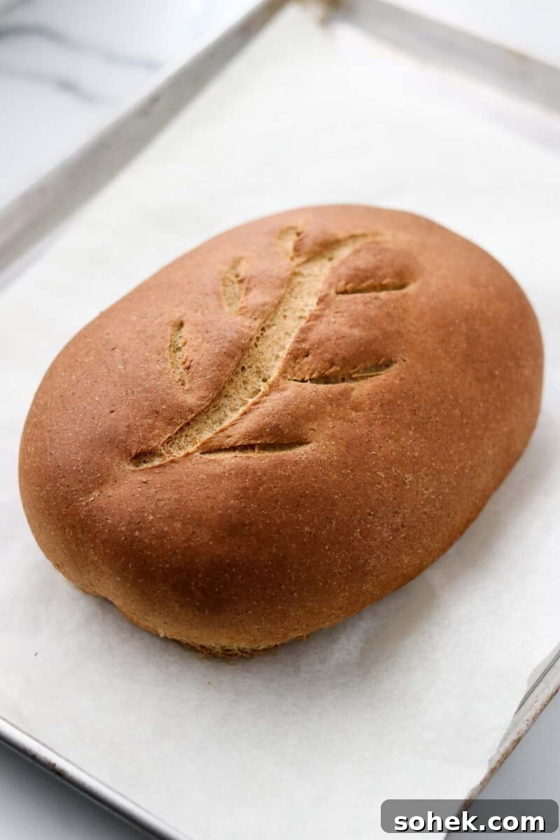 Loaf of Swedish Limpa Bread on a baking sheet.