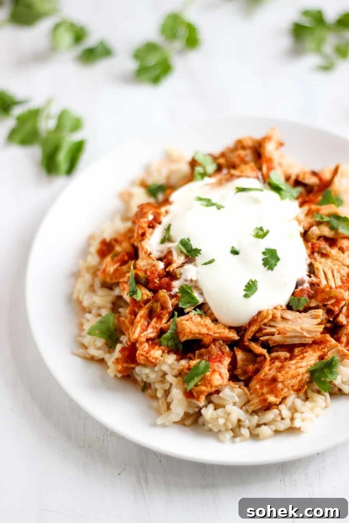 My family LOVED this easy shredded slow-cooker salsa chicken! // www.healthy-liv.com My family LOVED this easy shredded slow-cooker salsa chicken! // www.healthy-liv.com