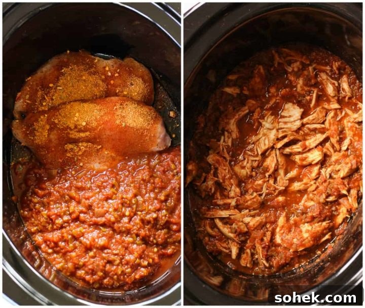 Slow-Cooker Salsa Chicken with 3 Ingredients: Tender Crockpot Recipe 2 My family LOVED this easy shredded slow-cooker salsa chicken! // www.healthy-liv.com
