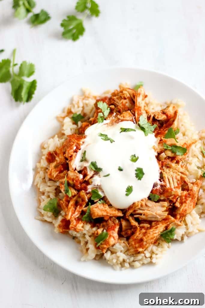 Slow-Cooker Salsa Chicken with 3 Ingredients: Tender Crockpot Recipe 3 My family LOVED this easy shredded slow-cooker salsa chicken! // www.healthy-liv.com