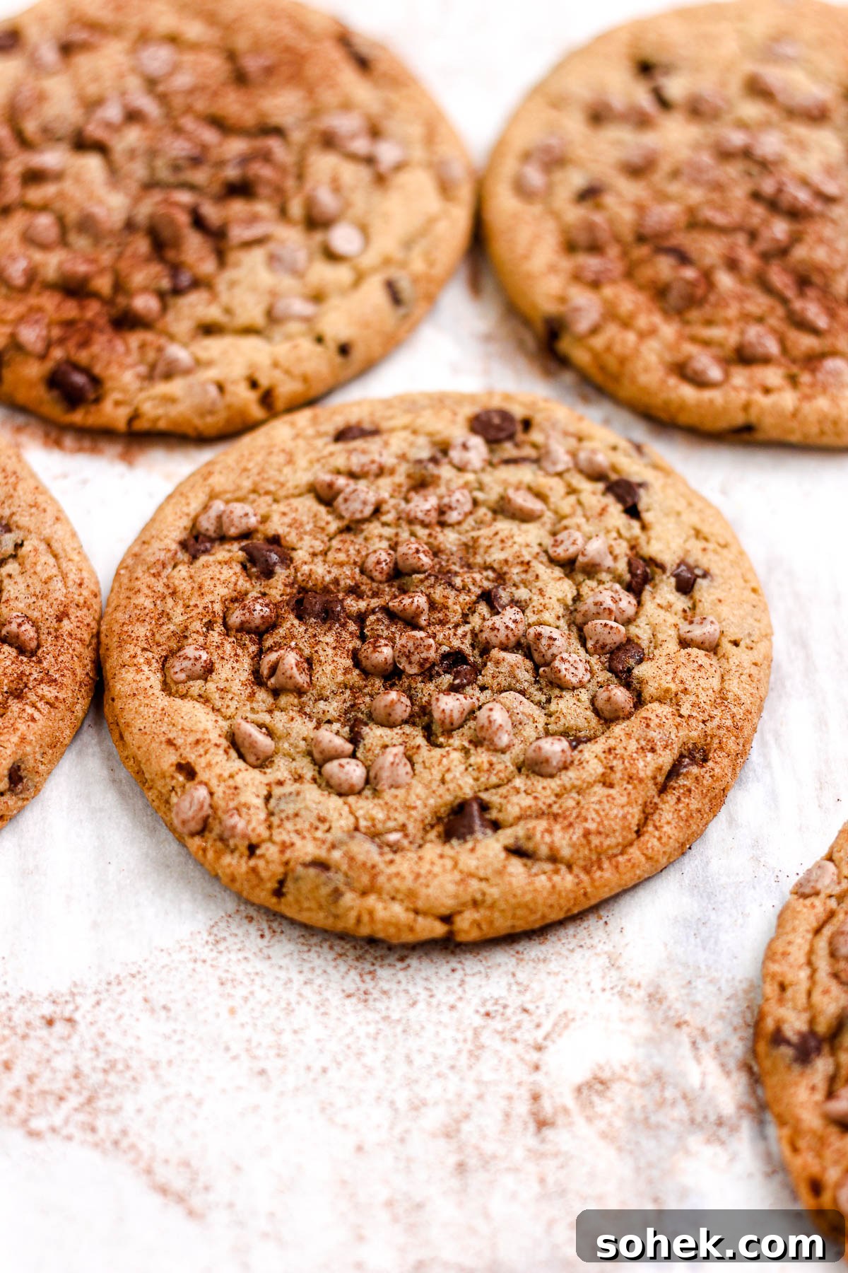 Cinnamon Chocolate Chip Cookie Recipe — Warm, Spiced Chocolate Treat 14 Cinnamon chocolate chip cookies on a parchment lined baking sheet.