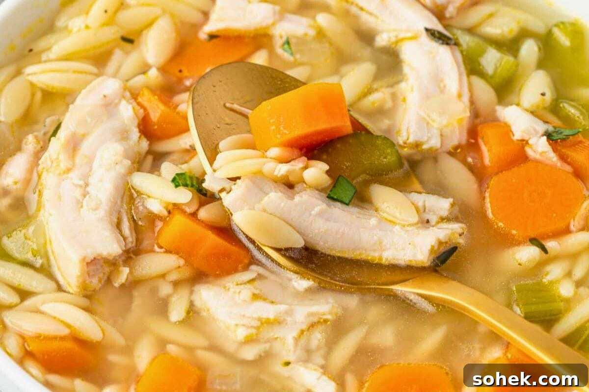 Bowl of turkey orzo soup with herbs.