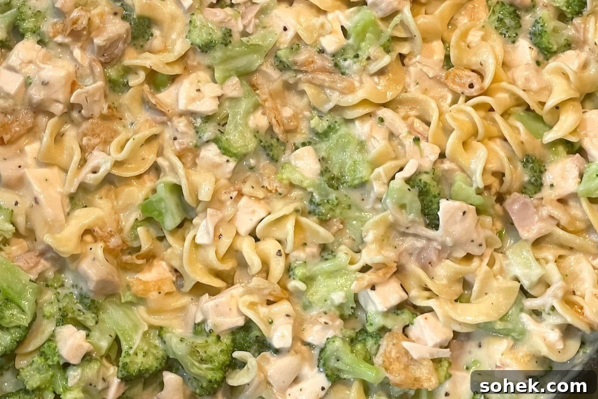 Creamy turkey and broccoli noodle casserole served on a plate.