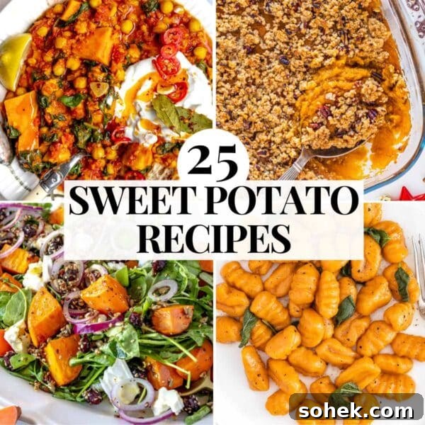 Hearty Sweet Potato Chili with Black Beans and Chipotle 19 sweet potato recipe ideas