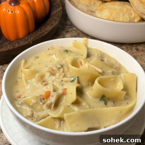 Creamy Chicken and Noodles Recipe: Comforting One-Pot Meal 22 Creamy Chicken and Noodles