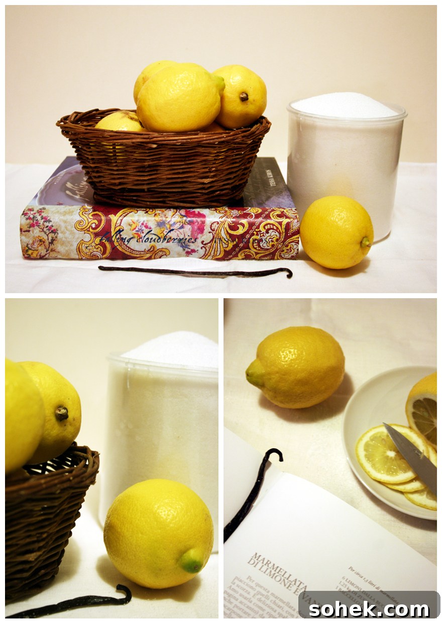 Lemon and Vanilla Marmalade Recipe: Smooth, Zesty Spread 3 Preparing marmalade
