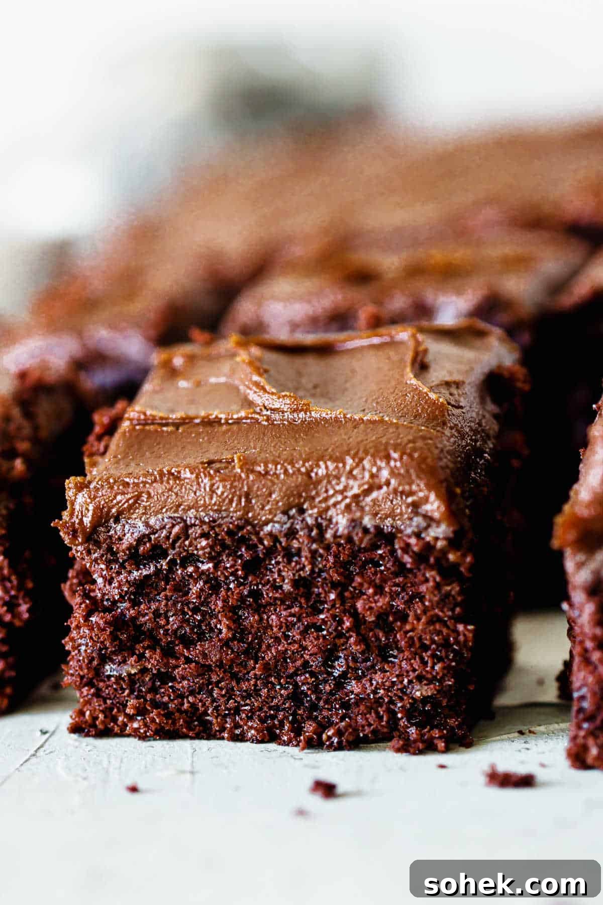 Decadent Chocolate Peanut Butter Frosting Recipe 6 Close-up square of chocolate potato cake on light blue surface