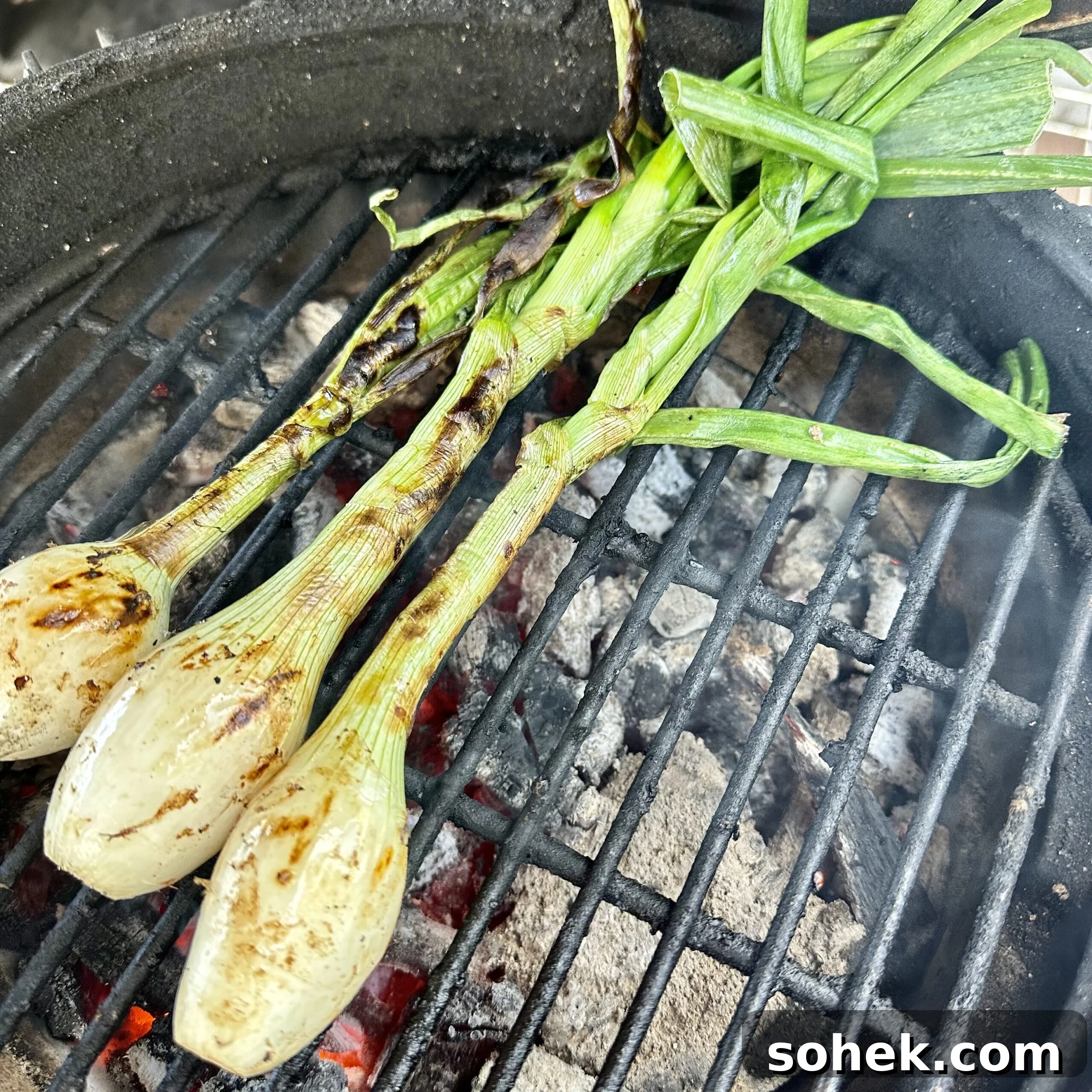 Citrus Garlic Marinated Skirt Steak Recipe 6 Grilled green onion