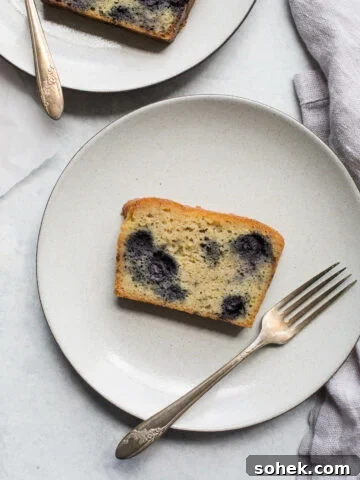 Lemony Almond-Blueberry Cake (gluten-free, dairy-free)