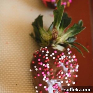 Decadent Chocolate-Dipped Strawberries Recipe for Any Occasion 8 making chocolate covered strawberries