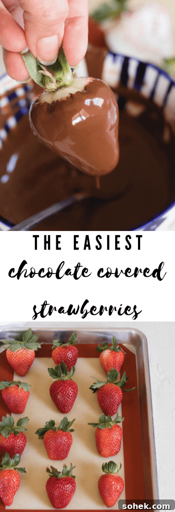 Decadent Chocolate-Dipped Strawberries Recipe for Any Occasion 9 img 7765 13