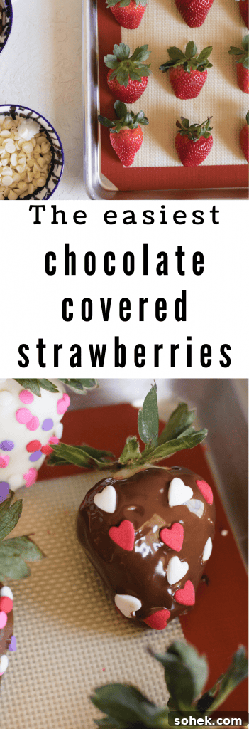 Decadent Chocolate-Dipped Strawberries Recipe for Any Occasion 10 easy chocolate covered strawberries