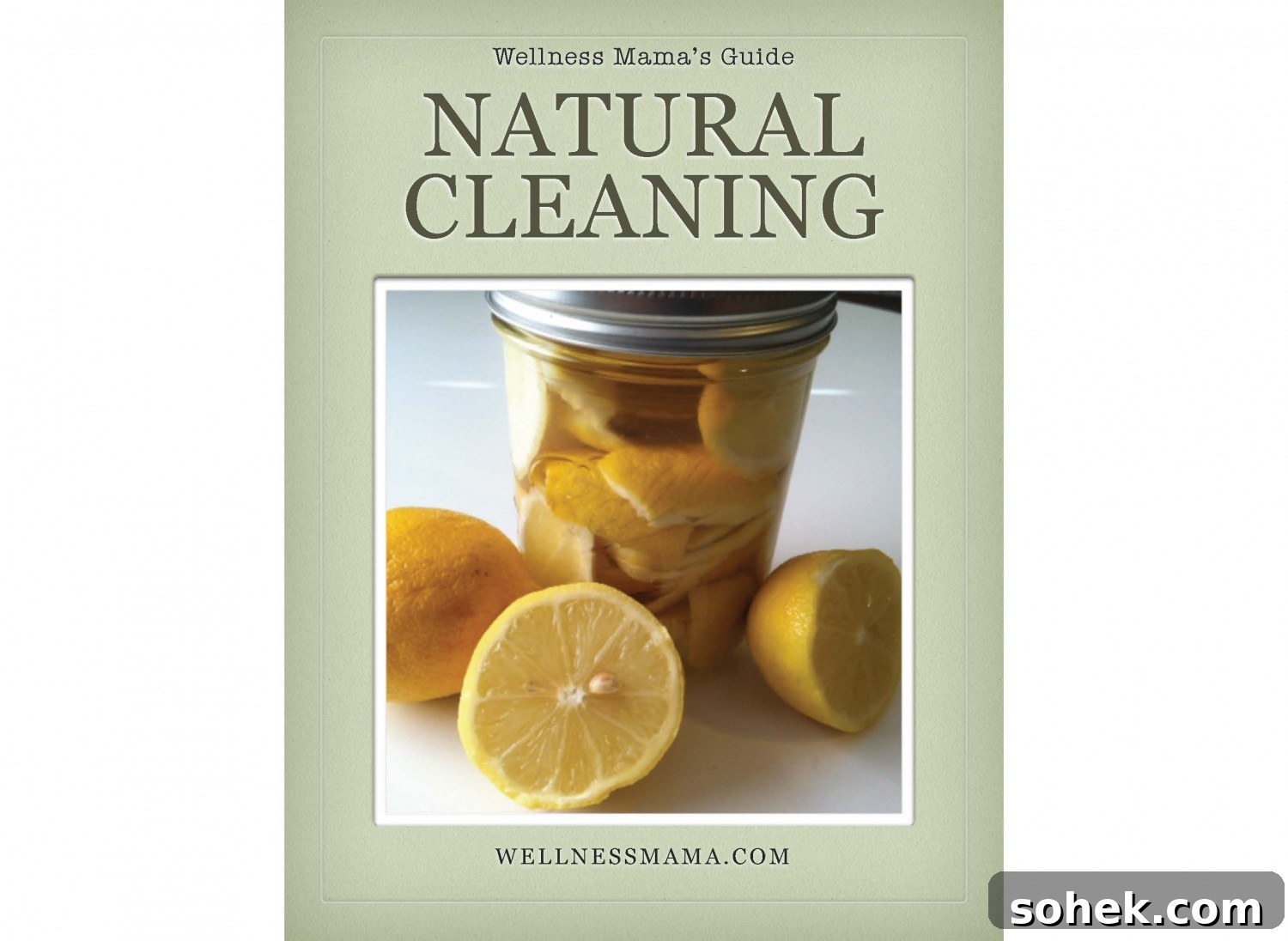 Massive Paleo & Wellness eBook Bundle — Limited-Time Sale 5 Natural-Cleaning-Guide