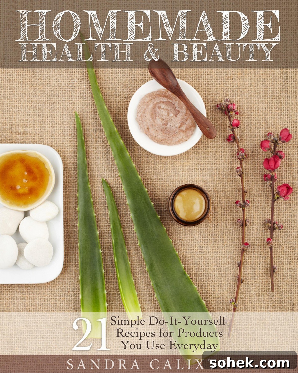 Massive Paleo & Wellness eBook Bundle — Limited-Time Sale 6 Homemade-Health-Beauty