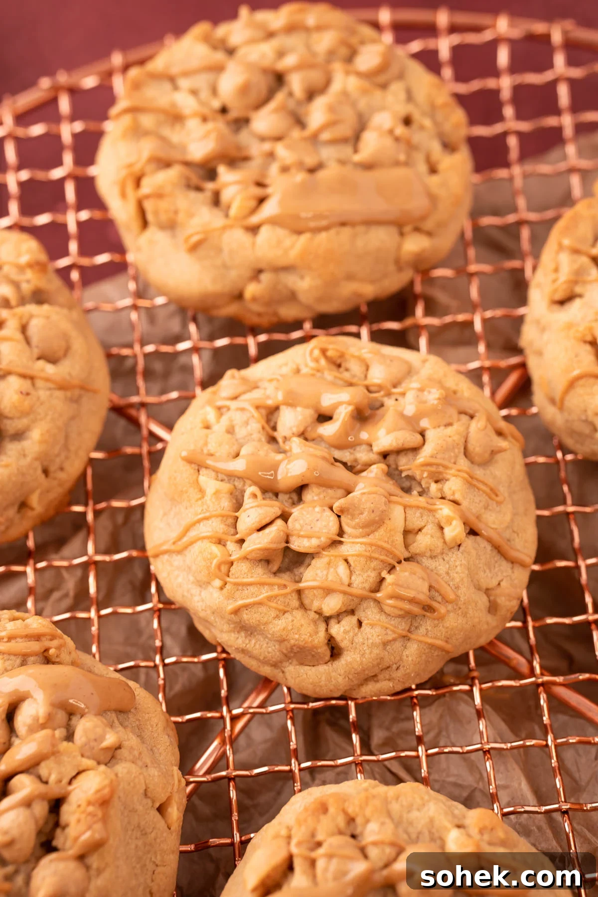 Bakery-Style Peanut Butter Cookies Recipe 7 Peanut Butter Cookies made with nuts and peanut butter chips on a copper wire rack.
