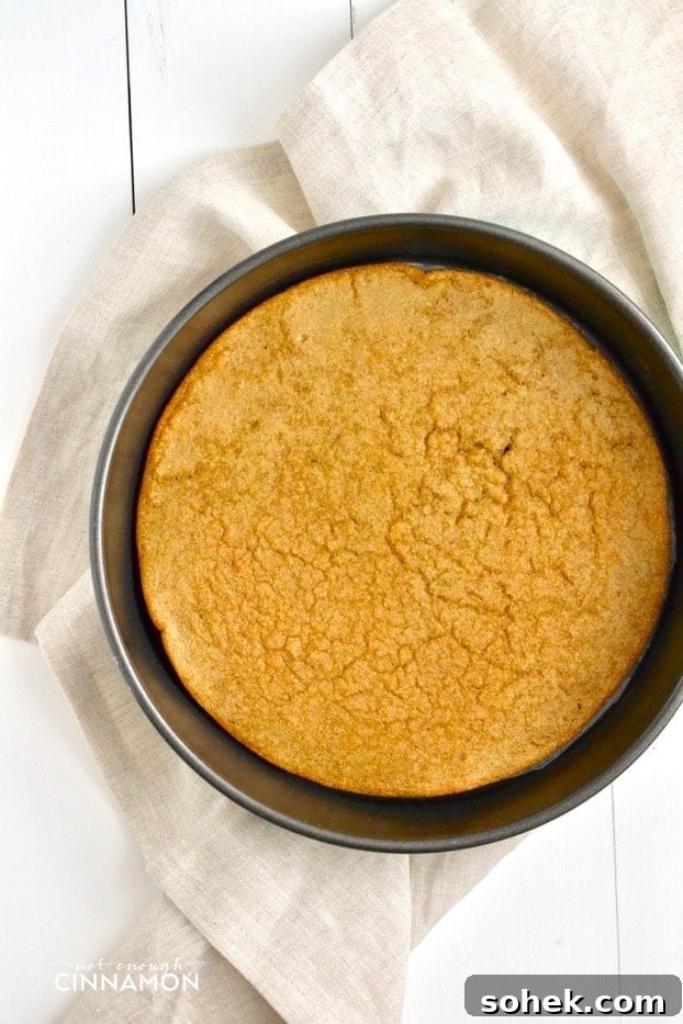 Quinoa Pizza Crust Recipe with Step-by-Step Instructions 2 overhead shot of Easy Gluten-free Quinoa Pizza Crust in a springform pan
