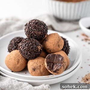 Decadent Vegan Chocolate Truffles Recipe for Rich, Dairy-Free Treats 9 img 7947 8
