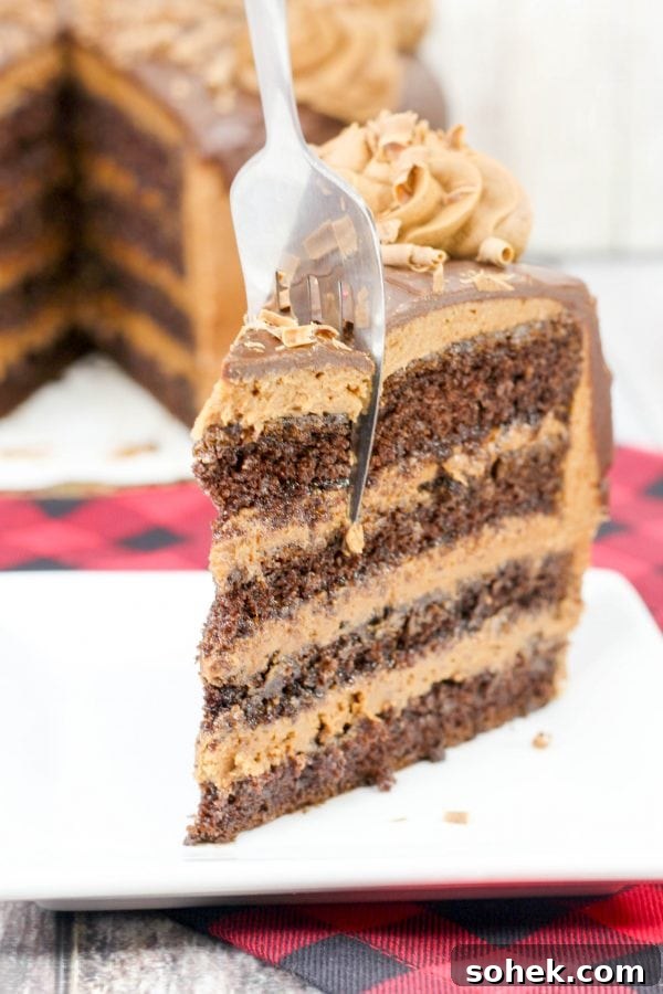 Copycat Cracker Barrel Coca-Cola Cake Recipe You’ll Love 6 death by chocolate cake