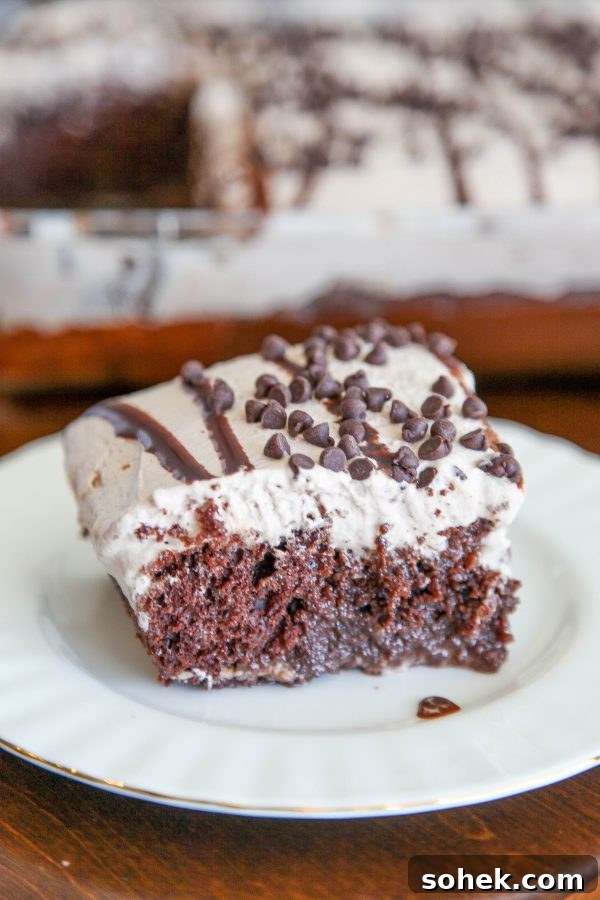 Copycat Cracker Barrel Coca-Cola Cake Recipe You’ll Love 7 easy chocolate poke cake