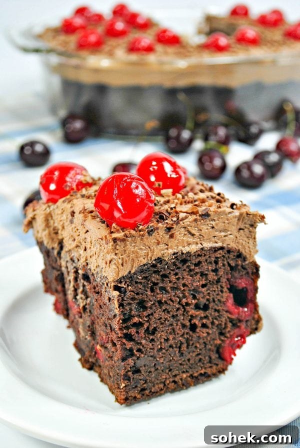 Copycat Cracker Barrel Coca-Cola Cake Recipe You’ll Love 8 chocolate cherry cake