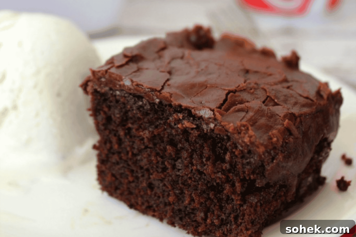 Copycat Cracker Barrel Coca-Cola Cake Recipe You’ll Love 10 img 8071 9