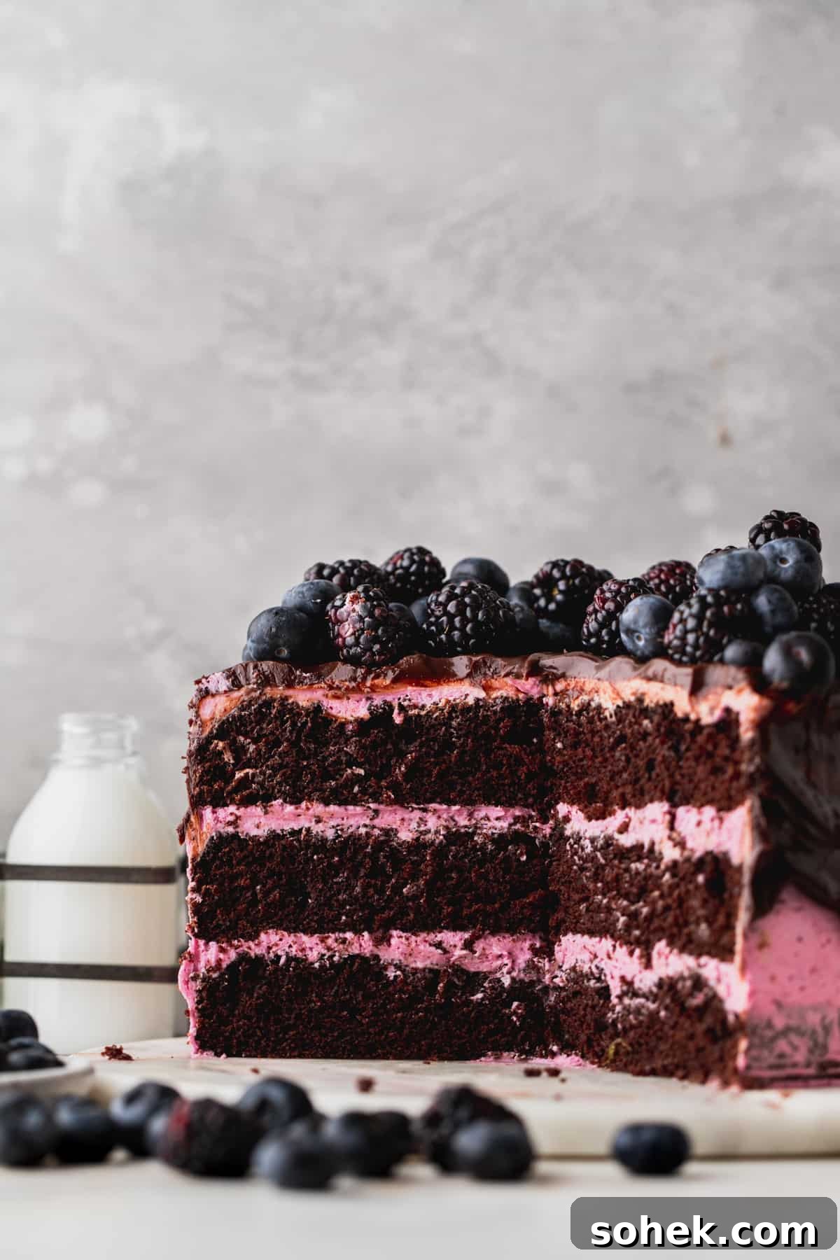 Layered blueberry chocolate cake split open.