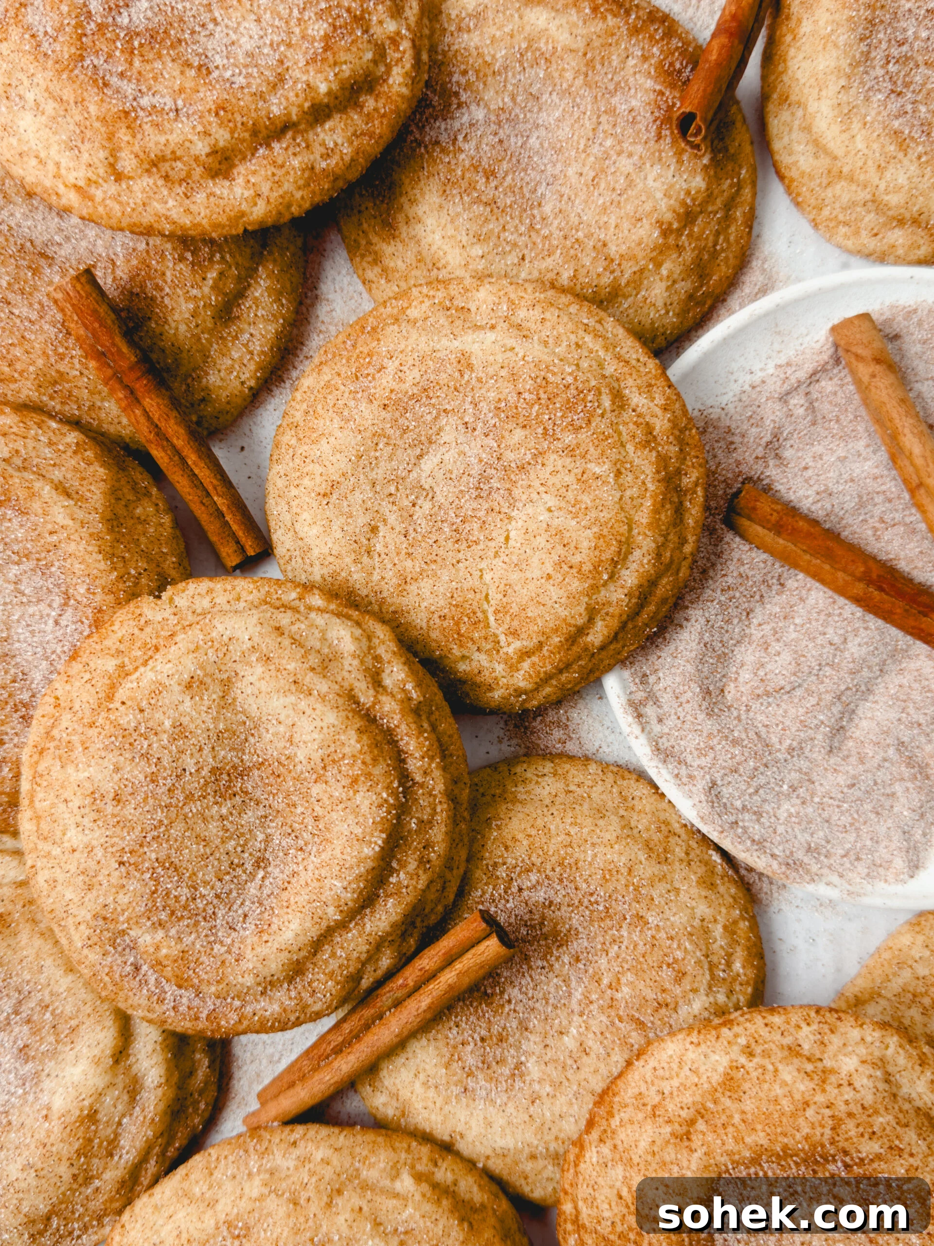 Soft Chewy Snickerdoodle Cookies Recipe for Perfect Texture 2 img 84949 1