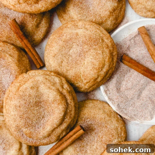 Soft Chewy Snickerdoodle Cookies Recipe for Perfect Texture 9 img 84949 12