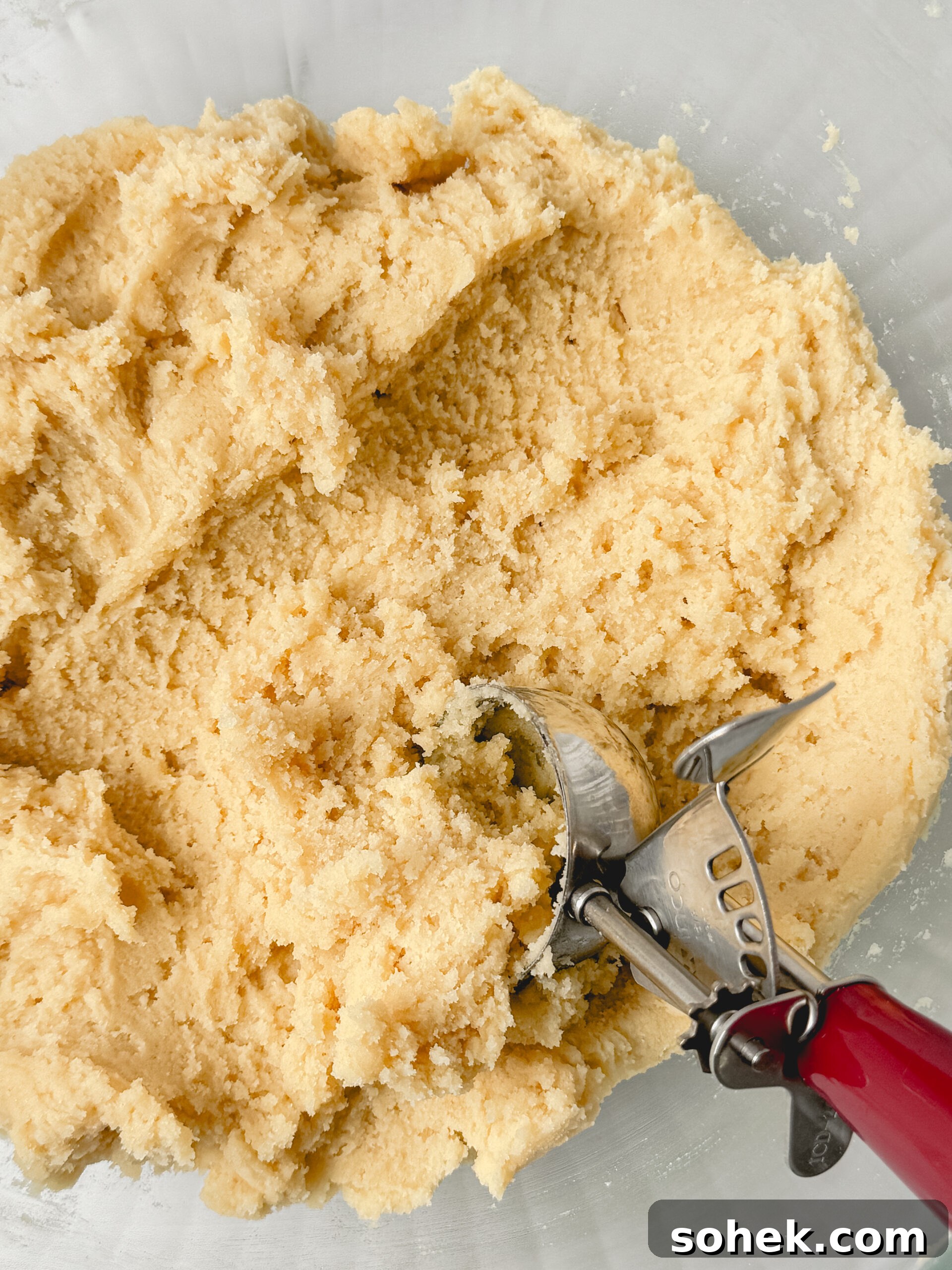 Soft Chewy Snickerdoodle Cookies Recipe for Perfect Texture 3 img 84949 2