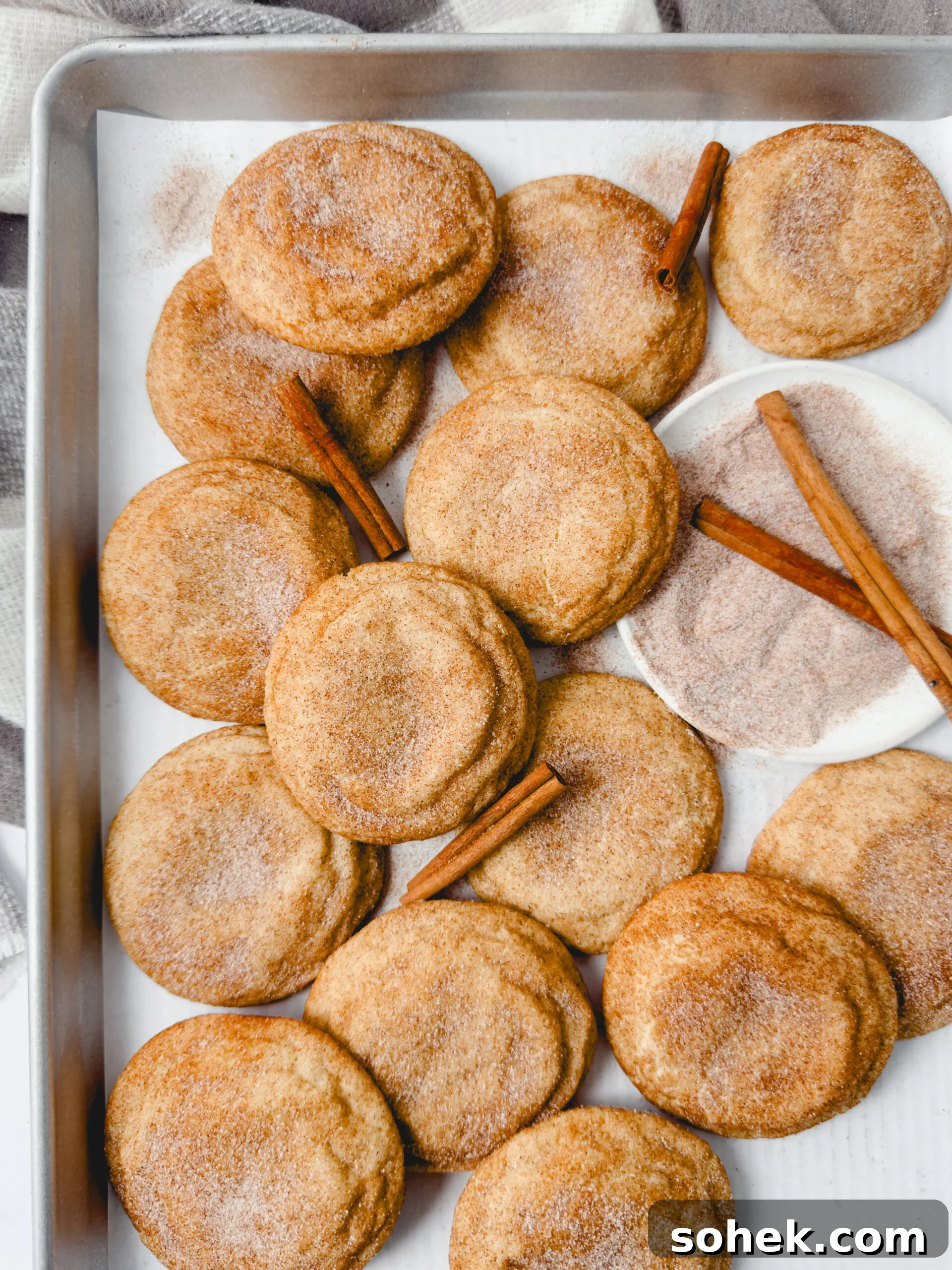 Soft Chewy Snickerdoodle Cookies Recipe for Perfect Texture 5 img 84949 4