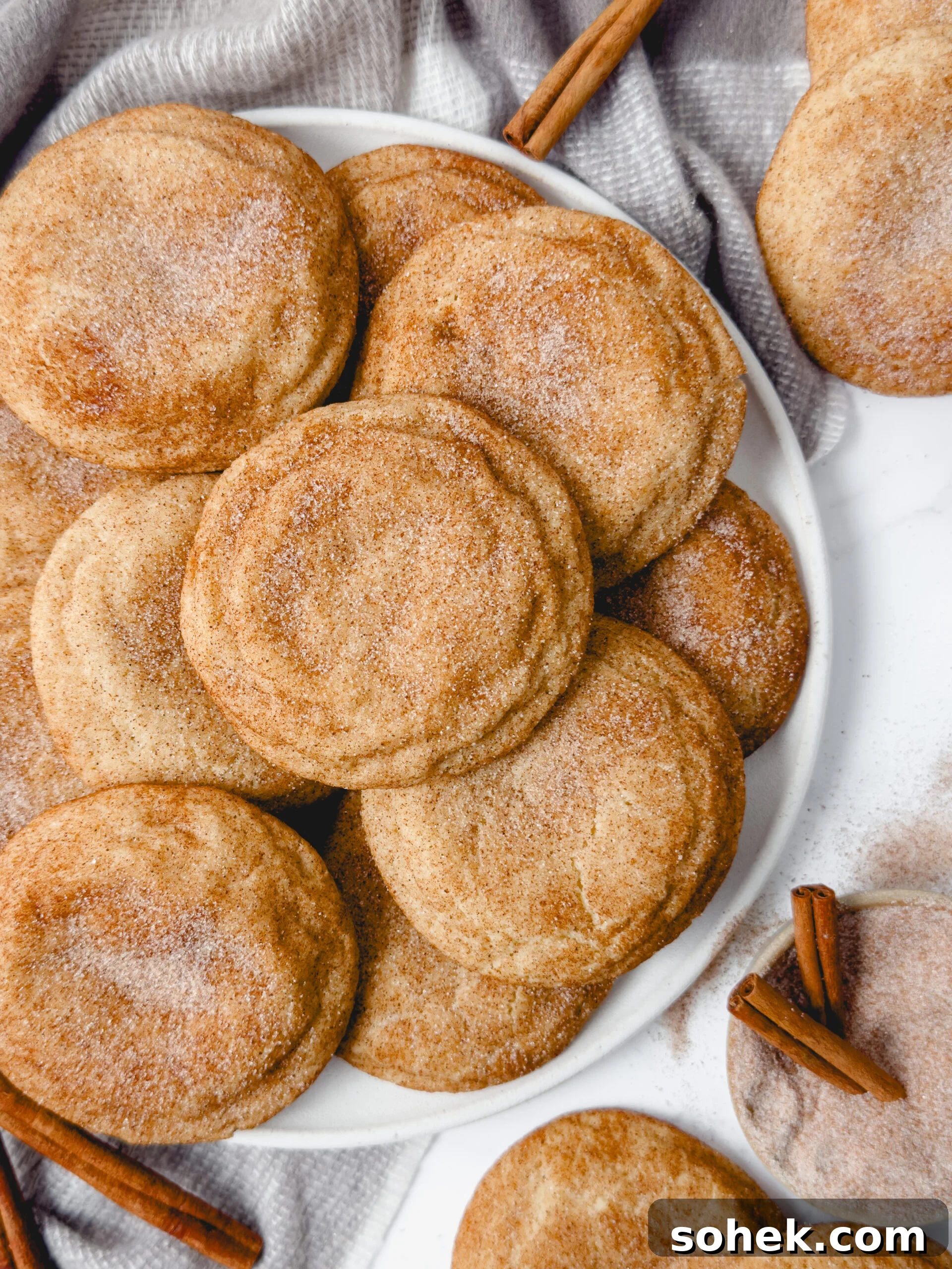 Soft Chewy Snickerdoodle Cookies Recipe for Perfect Texture 6 img 84949 9