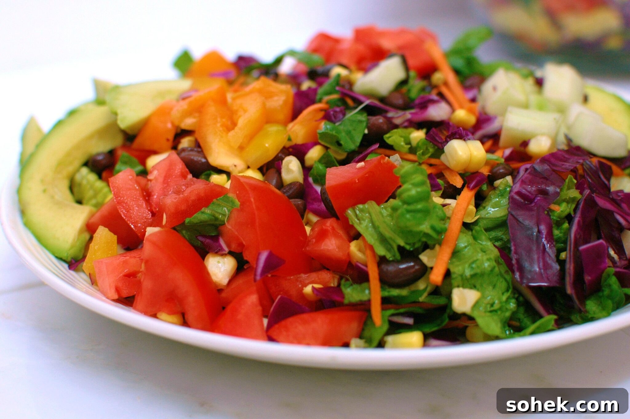 Colorful Rainbow Chopped Salad with Zesty Lemon Vinaigrette 2 rainbow chopped salad