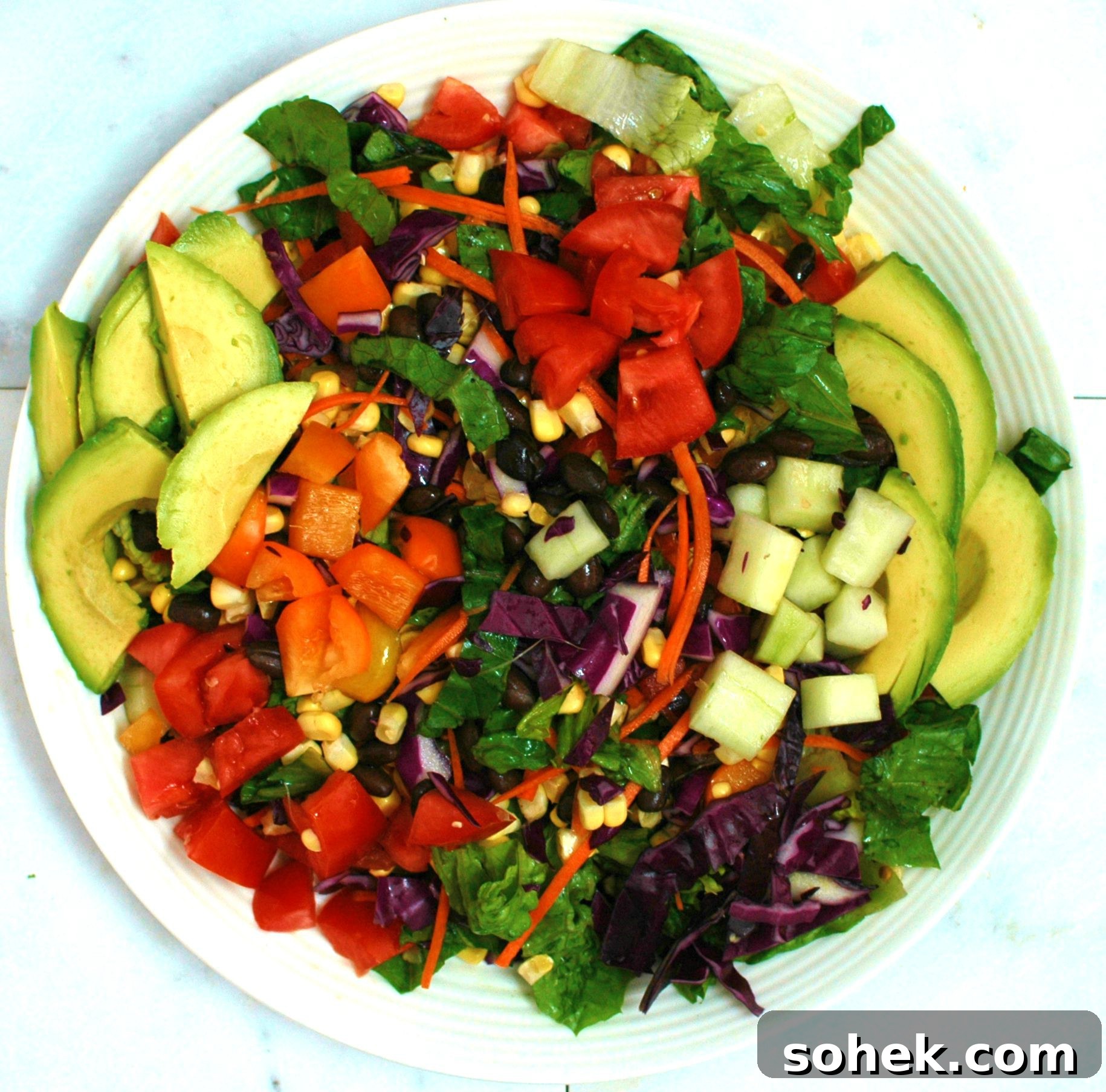 Colorful Rainbow Chopped Salad with Zesty Lemon Vinaigrette 3 rainbow chopped salad