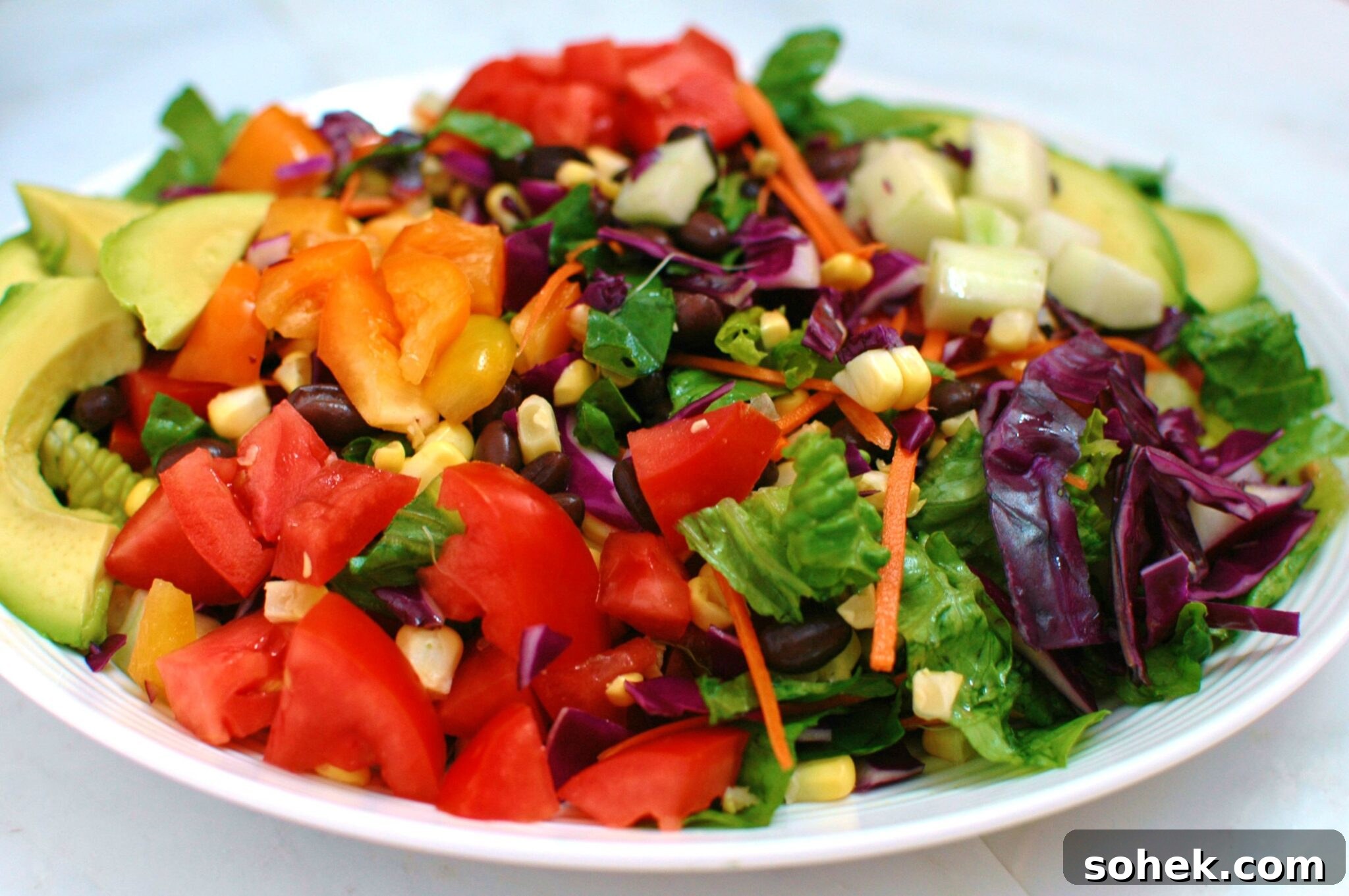 Colorful Rainbow Chopped Salad with Zesty Lemon Vinaigrette 4 rainbow chopped salad