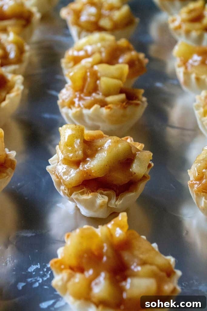 Mini Dutch Apple Pie Bites: Cinnamon Apple Pastry Bites Recipe 11 Baked Dutch Apple Pie Bites