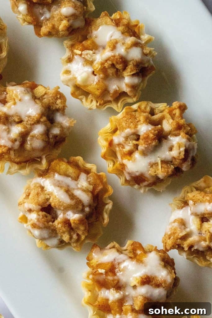 Mini Dutch Apple Pie Bites: Cinnamon Apple Pastry Bites Recipe 3 Dutch Apple Pie Bites close-up