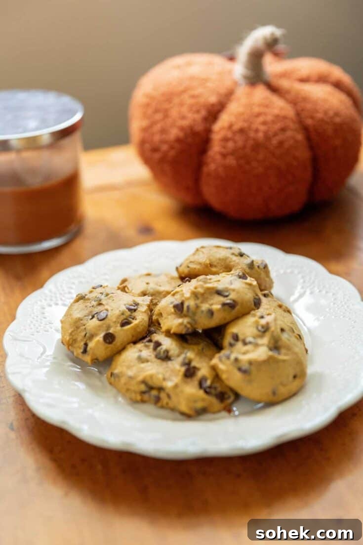 Image for Pumpkin Chocolate Chip Cookies