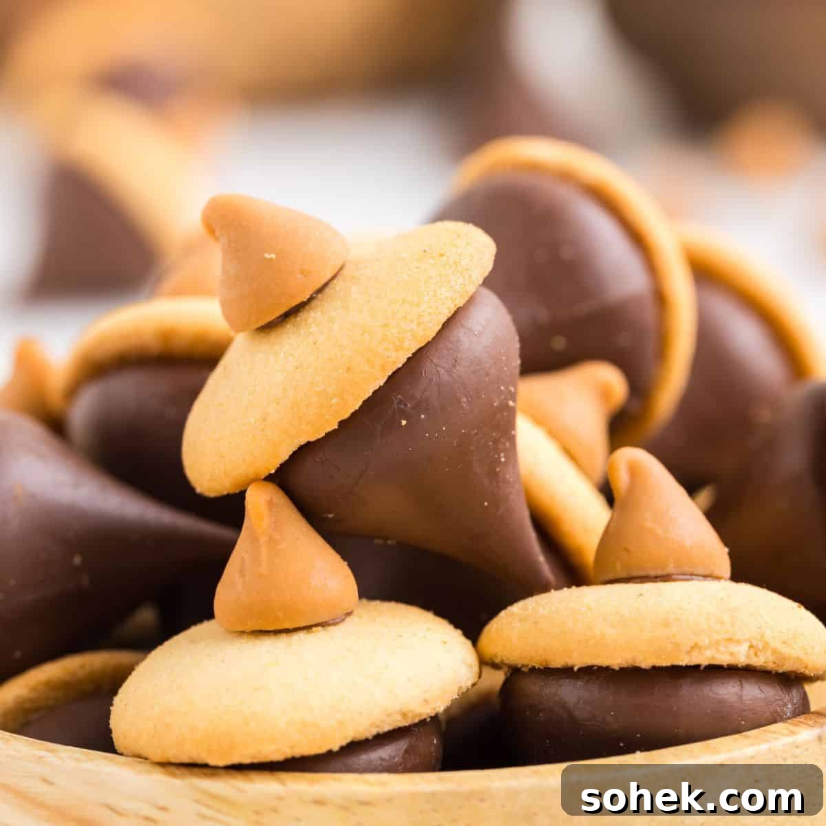 Image for Easy Acorn Cookies