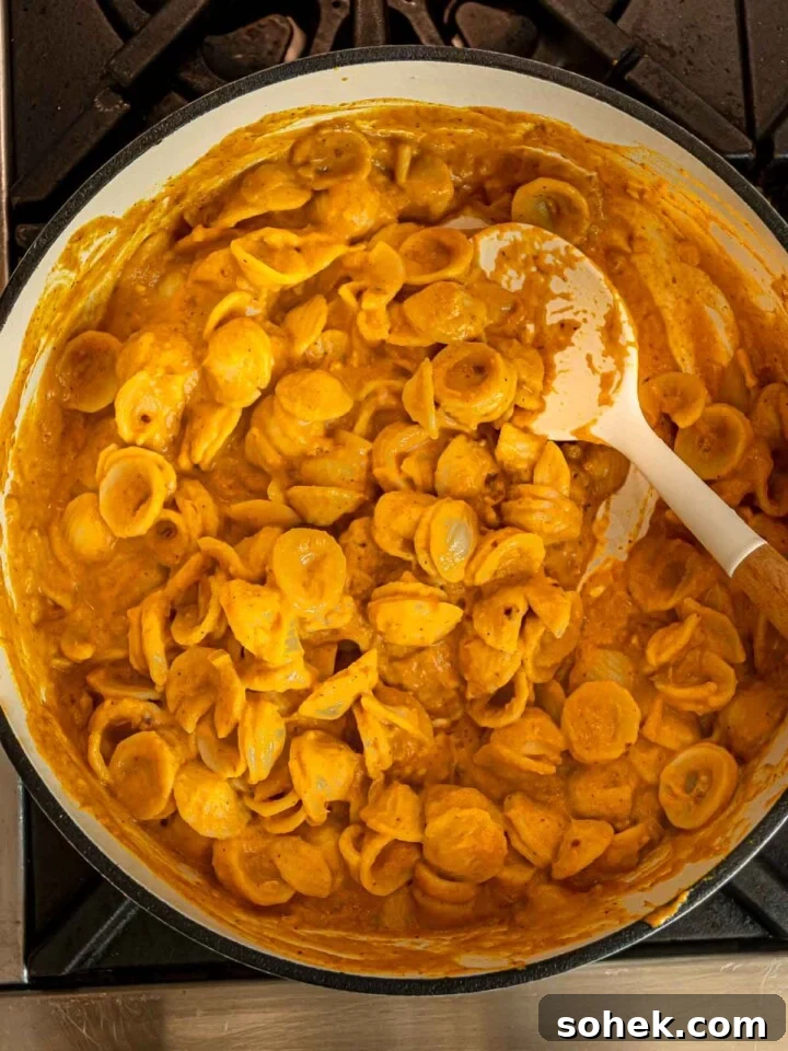 Creamy Pumpkin Pasta Sauce Recipe: Vegan, Savory Fall Dinner 8 Orecchiette pasta stirred into creamy pumpkin sauce with a white spoon.
