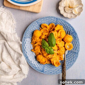 Creamy Pumpkin Pasta Sauce Recipe: Vegan, Savory Fall Dinner 10 Orecchiette pasta in a creamy pumpkin sauce topped with basil, served on a blue plate with fork.