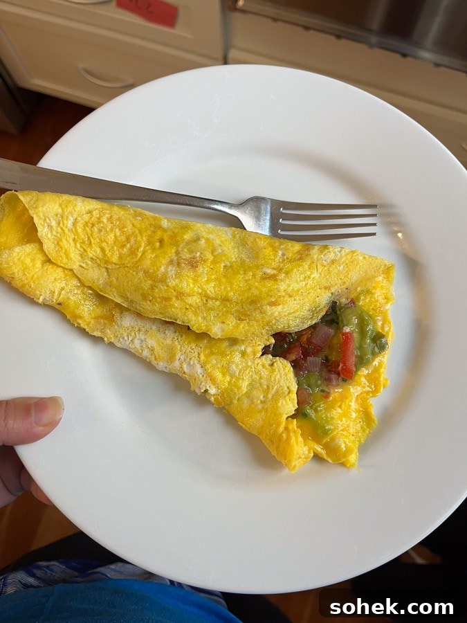Lately Loving: Favorite Finds and Must-Have Picks This Month 13 veggie omelette with salsa
